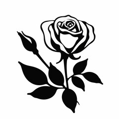 Obraz premium Elegant silhouette of a blooming white rose on white background, beauty