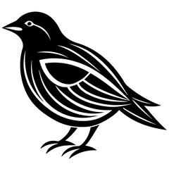 Stylized Bird Illustration With Curved Lines In Silhouette Vector Elegant Bird Vector Design Black And White Bird Graphic With Patterned Feathers