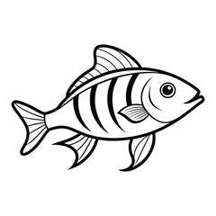 Aquatic vector fish illustration, a marine drawing