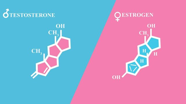 Strogen and testosterone hormones symbol. Sex hormones molecular chemical formula. hormones colour icon animation.