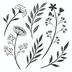Elegant Hand-Drawn Floral Elements – Black and White Botanical Set