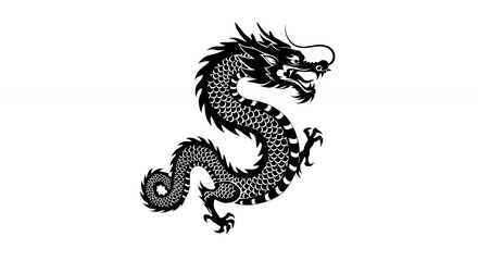 Elegant black and white dragon graphic for design