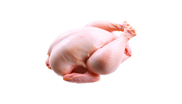 whole raw chicken isolated on white background
