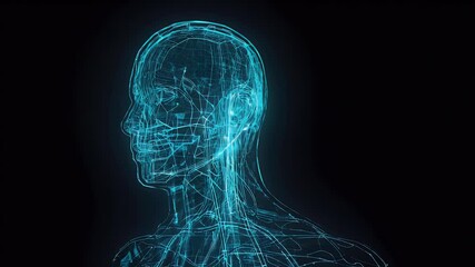 Digital human head anatomy.  Complex network of glowing blue lines illustrate the structure - Powered by Adobe