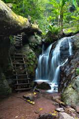 Small waterfall cascading down dark rocks in a lush tropical forest, with a rustic wooden ladder and a moss-covered fallen tree creating a serene, natural adventure setting.
