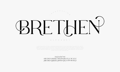 Elegant Swash Serif Font Vector for Modern Luxury Branding and Editorial Design