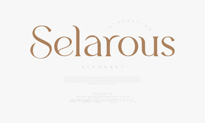 Chic Feminine Serif Font Vector for Luxury Beauty and Wedding Branding