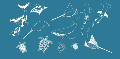 Vector Silhouettes of Sea Animals – Whales, Sharks, Turtles, Narwhal, Stingrays, Manta Rays, Ocean Wildlife Outline Illustration on Blue Background © Iryna Klymchuk