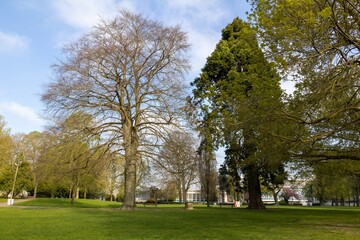 Parc verdoyant avec grands arbres sous un ciel lumineux