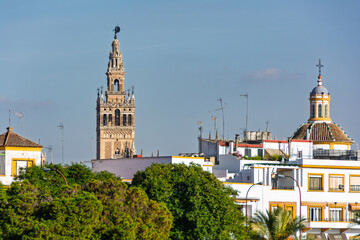 Giralda tower rising above seville skyline in andalusia, spain