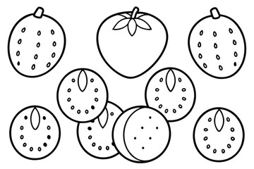 santol line art simple sketch of tropical fruit