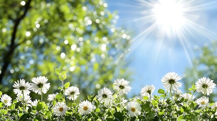 Sunlit flower blooming scene in nature vibrant spring day close-up view serenity and beauty