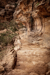Colorful sandstone canyon walls winding through the siq al barid at little petra in jordan