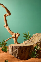 A round log with partly buried in sand below, the upper surface is smooth but the bark is rough. Light brown roots are twisted with sharp thorns. The sharp rock has a mottled appearance.