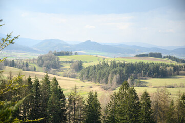 Obraz premium Panoramic view of green hills, fir trees and distant ridges under blue sky. Ideal for tourism, environment, and adventure promotions.
