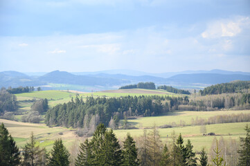 Obraz premium Serene spring landscape with spruce trees, green fields and layered hills under clear sky. Perfect for eco design, travel blogs, nature editorials.