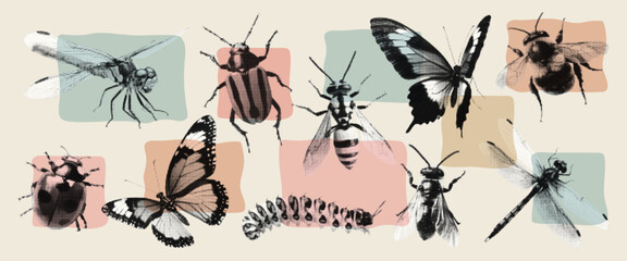 Vintage butterfly, wasp, bumblebee, dragonfly, fly texture with grunge halftone effect. Vector retro insect collage art in pastel colors.