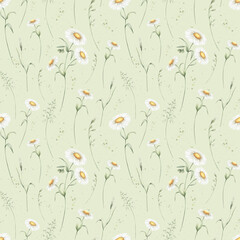 Seamless floral pattern of watercolor wildflowers chamomile and field grasses on light green background. Hand drawn sketch meadow yellow flowers and wild greenery for fabric print and wallpaper