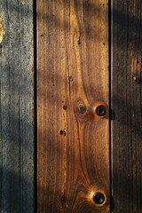 Fototapeta premium weathered wooden plank with tree bark texture, driftwood, forest, wood grain