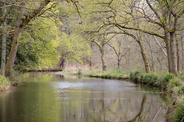 The Basingstoke Canal