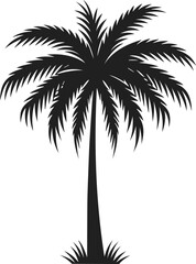 Fototapeta premium Simple Elegant Minimalist black color silhouette of Palm Tree, Palm Tree Vector Art Illustration, Drawing of Palm Tree Illustration, Vector Palm Tree Design Elements