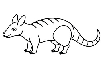 granadilla line art tropical fruit contour hand drawing