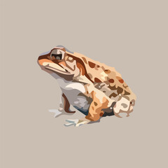 Vector illustration of a frog toad in a cartoon clipart style frogs toads isolated on a white background