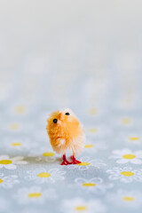 Décoration pour les fêtes de Pâques - Mignon Petit poussin coloré en poils dans un nid
