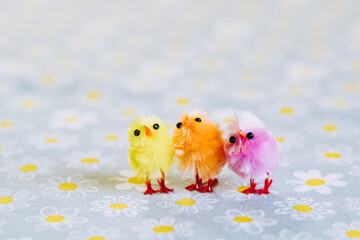 Décoration pour les fêtes de Pâques - Mignon Petit poussin coloré en poils dans un nid