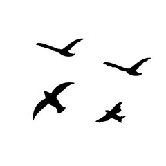 Flying Birds Silhouette