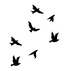 Flying Birds Silhouette