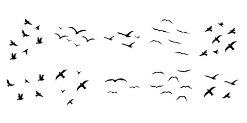 Flying Birds Silhouette