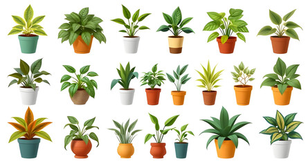 set of plants in pots