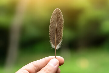 Close-up of a hand holding a feather against a soft green background during daytime