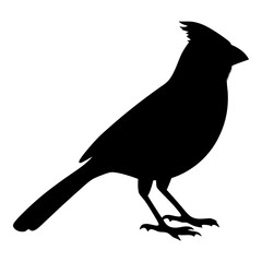 Northern Cardinal Silhouette Bird Vector Graphic Illustration Perfect for Designs