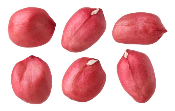 Peanut seed isolated, transparent PNG, PNG format