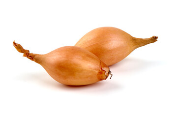 Shallot onion sets isolated on white background.