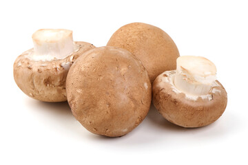 Royal brown champignons, isolated on white background.