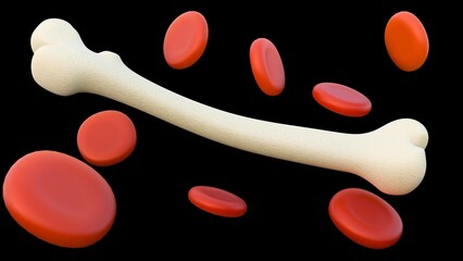 A 3d rendering of scattered red blood cells or erythrocytes are prominently featured alongside a femur bone.