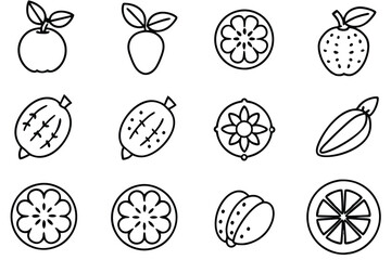 guaran line art aesthetic for minimalist decor