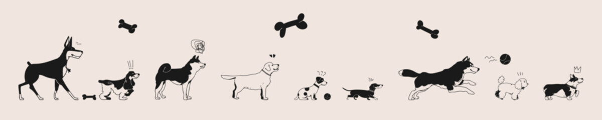 Funny black and white illustration featuring various dog breeds in playful and expressive poses.  Minimalist style on a light background. Trendy vector illustration.
