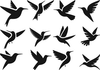 Simple minimalist hummingbird vector art Collection of hummingbirds