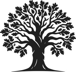 Obraz premium Stately Oak Tree Vector Art, Elegant Oak Tree Illustration on White or Transparent Background