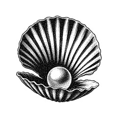 Illustration of a detailed open shell with a pearl inside