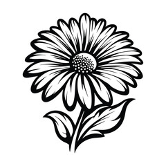 Detailed Black and White Daisy Flower Blossom with Leaves, Floral Pattern
