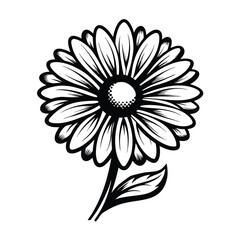 Elegant Black and White Daisy Flower Outline, Bold Petals, Stem and Leaf Silhouette