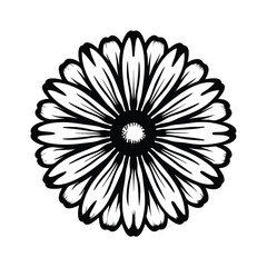 Black and White Detailed Floral Shape with Petals in Circular Symmetrical Design