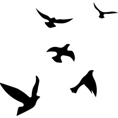 Flying Birds Silhouette