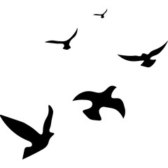 Flying Birds Silhouette