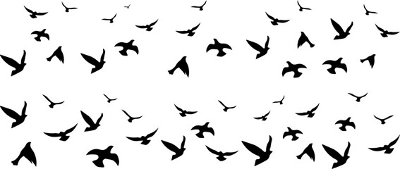 Flying Birds Silhouette